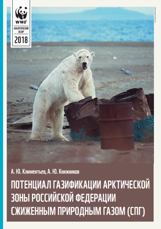 Prospects and opportunities for using liquefied natural gas (LNG) for gas supply in the Arctic region of the Russian Federation