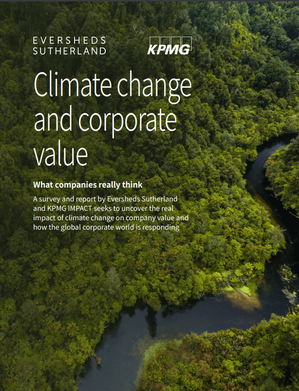 Climate change and corporate value: What companies really think