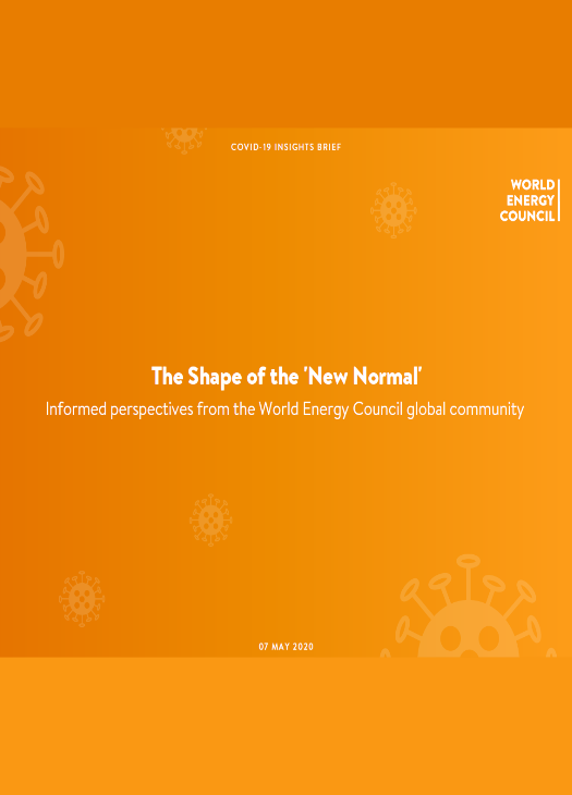 The Shape of the 'New Normal'. Informed perspectives from the World Energy Council global community