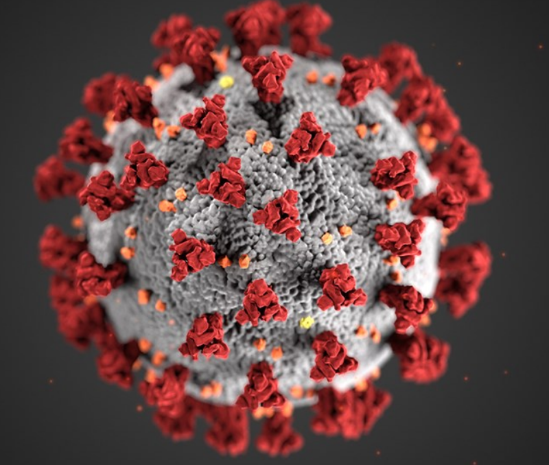 Seven early lessons from the coronavirus