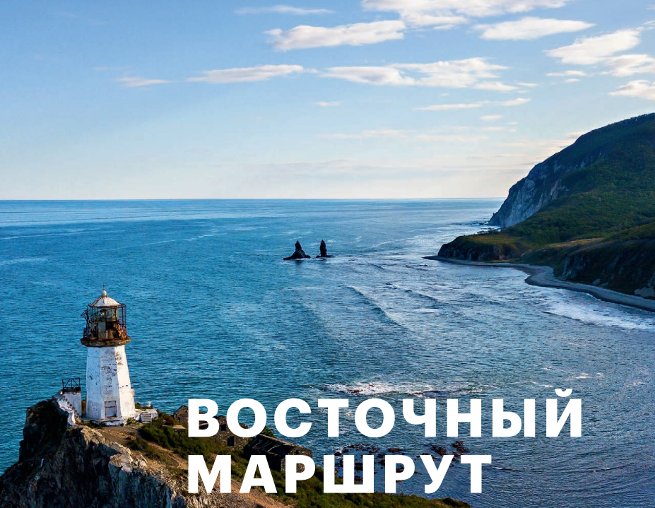 Без названия