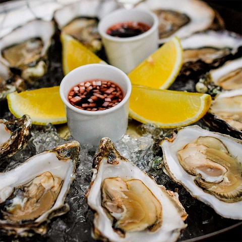Marine farming for the industrial cultivation of mussels, oysters and valuable fish species