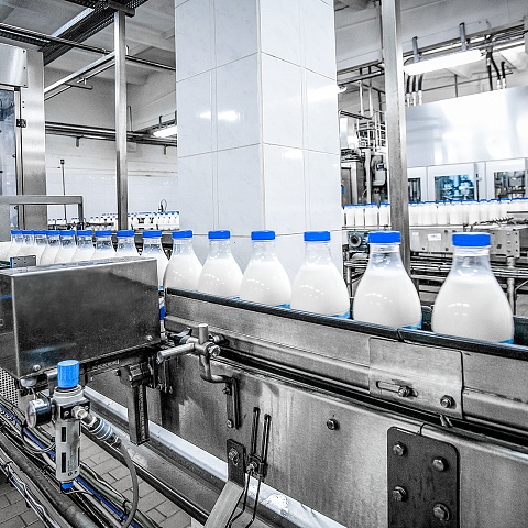 Setting up a dairy unit in the Tengushevsky district