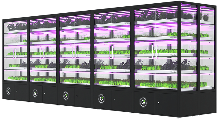 Цифровые ситифермы Greenbar