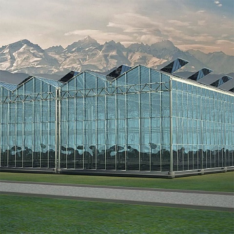 Greenhouse complex construction