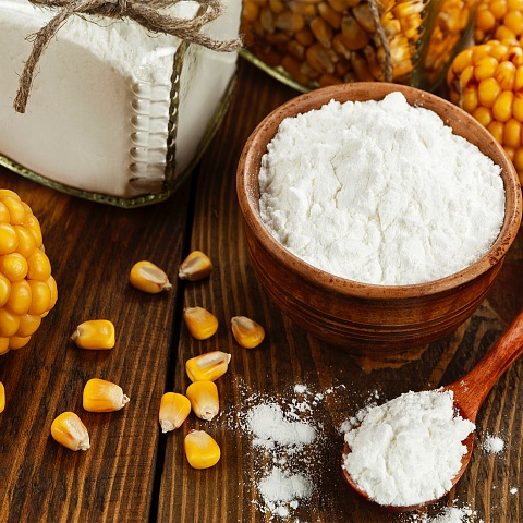 Construction of a plant for the production of starch and molasses from corn grains in the village Oktyabrsky,  Novoumanskiy rural settlement
