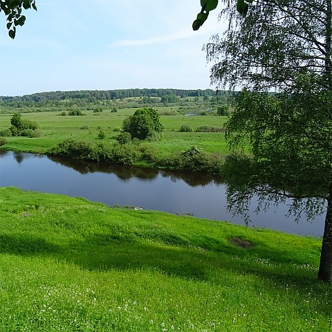 Construction of a modern recreational complex in the Pushkinogorsk district of the Pskov region "Park-hotel Krenyovka"