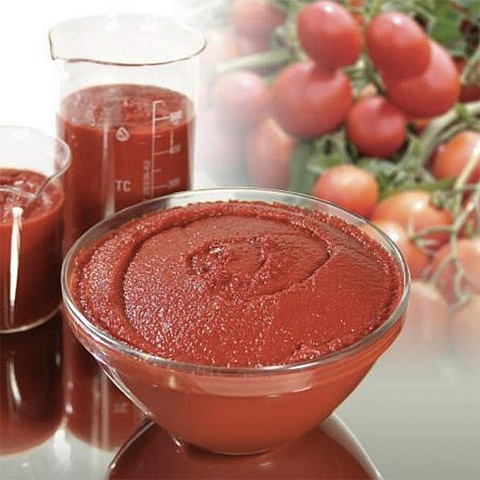 Tomato paste factory