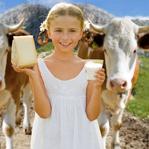 Dairy complex construction