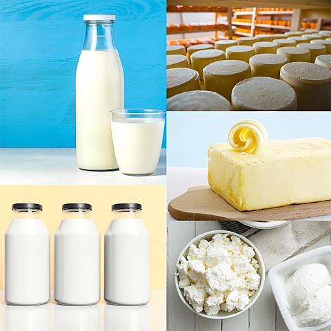 Construction of a milk processing plant in Kochmengsko-Gorodetsky district