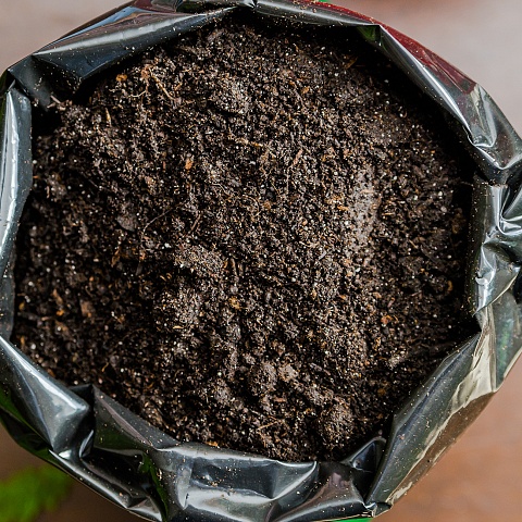 Extraction and Processing of Sapropel from Lake Bolshoy Berchikul 