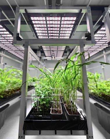 Production of automated laboratory and climatic complexes