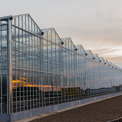 Greenhouse complex