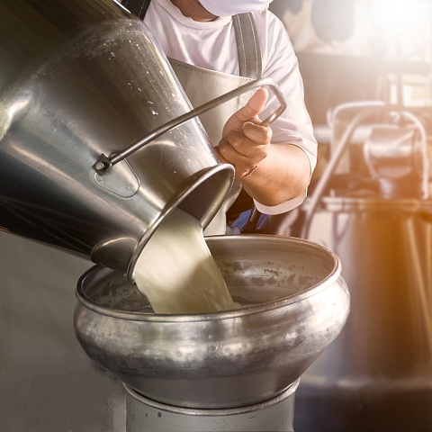 Establishment of a dairy farm on the basis of an existing dairy cattle husbandry enterprise in the village of Sazhino