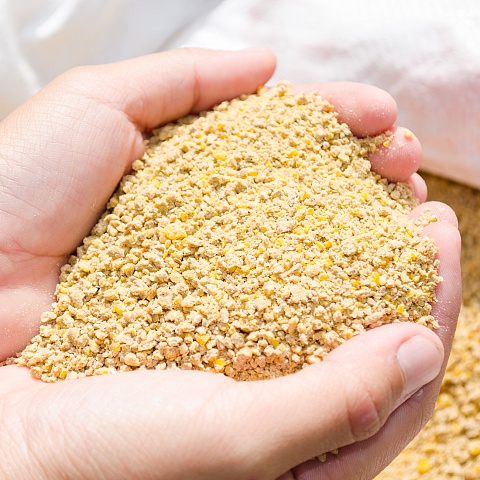 Piloting domestic production of protein components