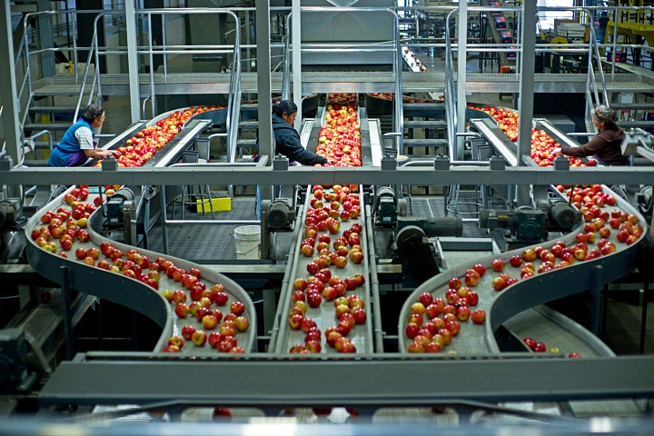 Creation of a production and warehouse complex for fruit and vegetable products