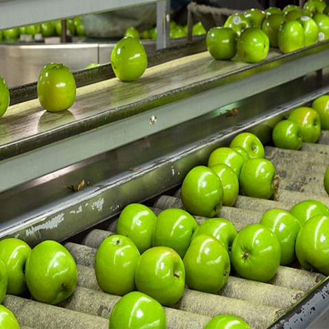 Construction of a fruit and vegetable processing plant in the Pervomaisky settlement. 
